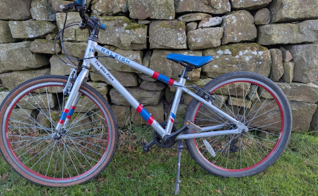 Raleigh Pop 24